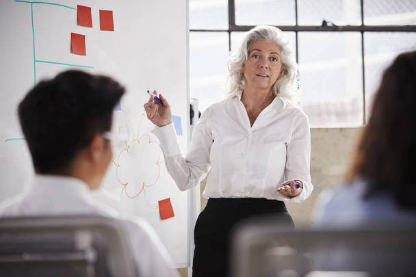Senior businesswoman using whiteboard in meeting - Φωτογραφία, εικόνα