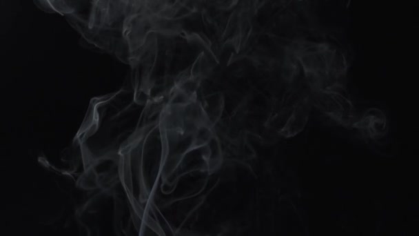 Λευκό καπνό που υψώνονται πάνω από το μαύρο φόντο αργή κίνηση - Πλάνα, βίντεο