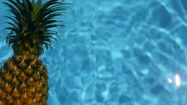 Abacaxi flutuando na água azul na piscina. Alimentos orgânicos crus saudáveis. Fruta suculenta. Fundo tropical exótico
 - Filmagem, Vídeo