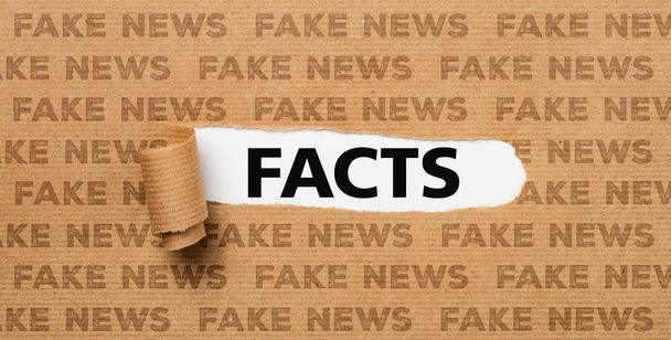 Roztrhaný papír - fakta nebo falešné zprávy - Fotografie, Obrázek