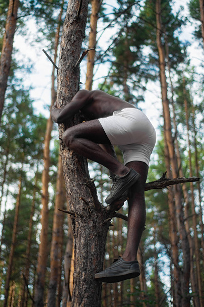 Male black with no shirt climbs a tree - Foto, immagini