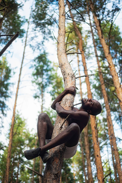 Mies musta ilman paitaa kiipeää puuhun
 - Valokuva, kuva