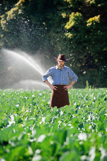 Farmer stands on the field on the watering or sprinkler system background. A young agronomist is on a plantation and checks quality of the harvest. - Photo, Image