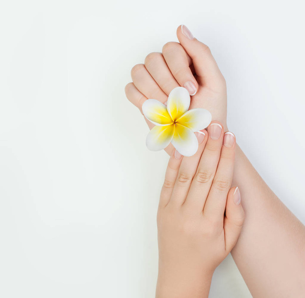 Beautiful female hands on white background. Manicure concept - Photo, Image