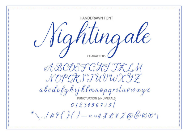 Nightingale. Handgetekende kalligrafische vector lettertype. - Vector, afbeelding