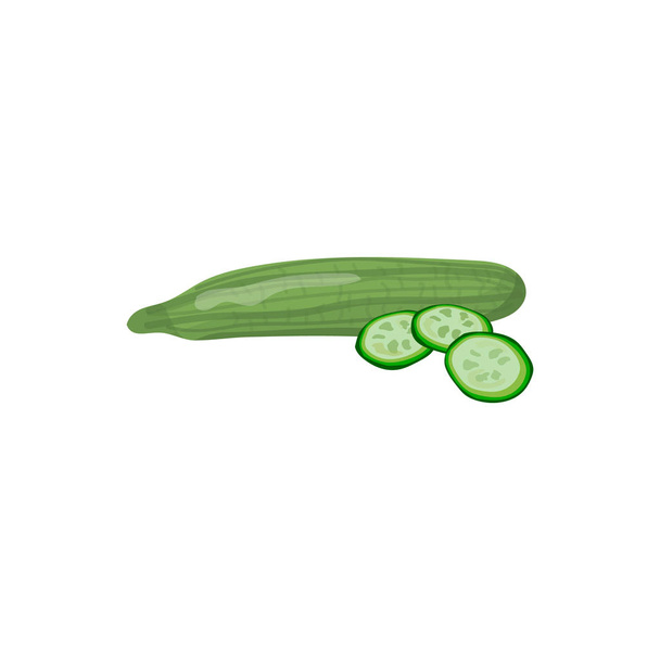 Isolated cucumber. One whole cucumber isolated on white background with clipping path. Vector illustration - Vektor, obrázek