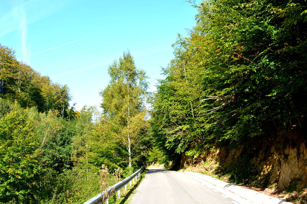 Типовий пейзаж у лісах Трансільванії, Румунія. Зелений пейзаж в середині літа, в сонячний день - Фото, зображення