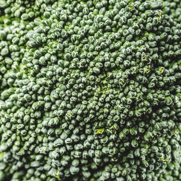 Inflorescences of broccoli photographed macro, broccoli of the green vegetables series. Top view - Valokuva, kuva