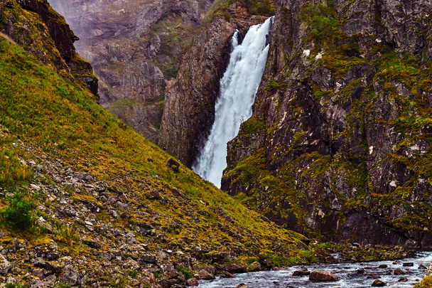 Şelale rocky Dağları'nda. Norveç'te şaşırtıcı doğa. - Fotoğraf, Görsel