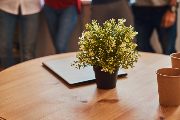 Wirydarz-do góry fotografia laptopa, dwa kubki papierowe i kwiatów na stole w akademiku. - Zdjęcie, obraz