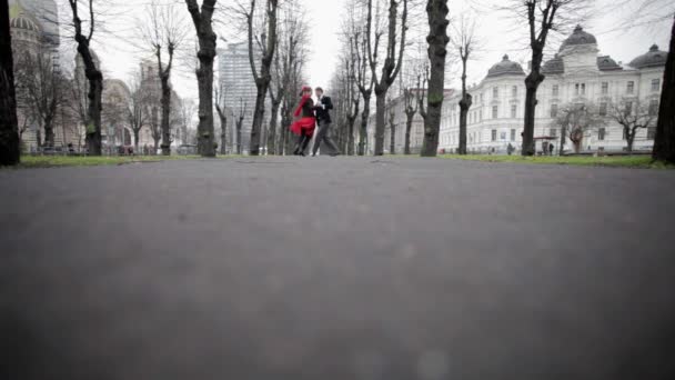 Chico en traje de terciopelo y chica en vestido rojo están bailando en el parque en temporada de invierno
. - Metraje, vídeo