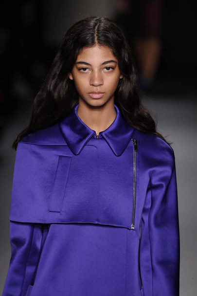 PARIS, FRANCE - FEBRUARY 28: A model walks the runway during the Lanvin show as part of the Paris Fashion Week Womenswear Fall/Winter 2018/2019 on February 28, 2018 in Paris, France. - Фото, зображення