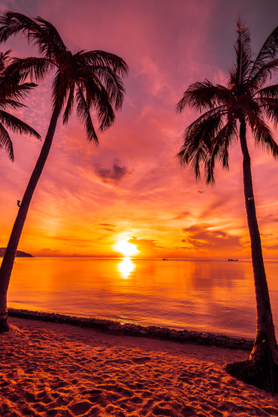 At sunset time on the tropical paradise island beach and sea with coconut palm tree for holiday and vacation - Photo, Image