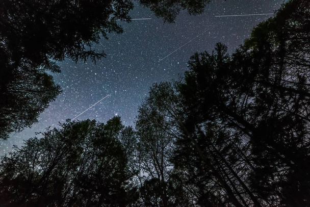 Meteors in the night sky in the forest - Фото, изображение