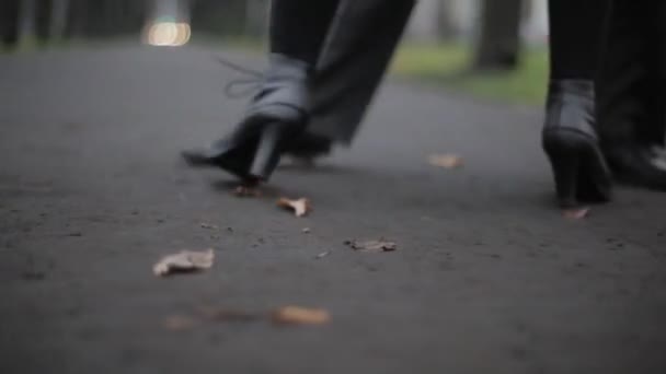 Mans i womans nogi w czarne skórzane buty taneczne na ziemi pokryte liśćmi - Materiał filmowy, wideo
