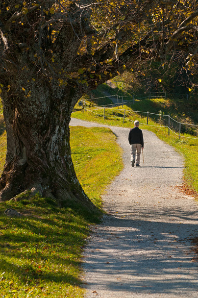Elderly man walking away on a path in the park in autumn - Photo, Image