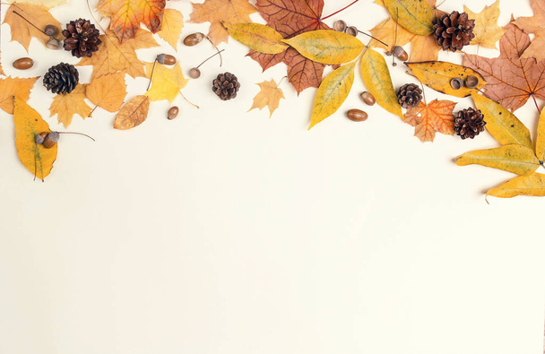 Border made of dried autumn leaves, cones and acorns on light background. Autumn composition. Flat lay, top view, copy space. - Foto, Imagen