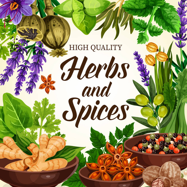 Seasoning, spices, herbs and condiments vector - Vector, Image