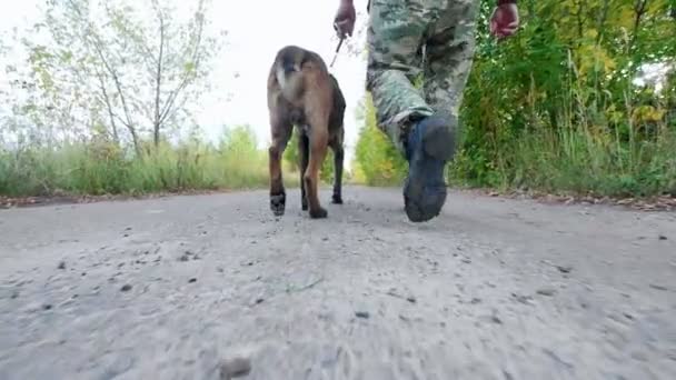 Trener i jego wyszkolony pies idzie prosto na drogach, kamera podąża za nimi - Materiał filmowy, wideo