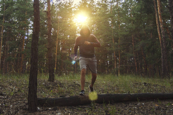 Людина займається бігом з перешкодами в сосновому лісі. Прекрасна гра світла. Концепція тренувань на відкритому повітрі. Тренування
. - Фото, зображення