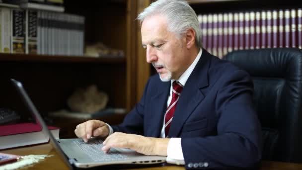 Happy businessman using his laptop  - Кадры, видео