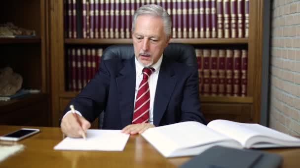 Businessman writing on a document in his office - Video