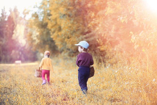 Children in the village walk through the autumn forest and gathe - Foto, Bild