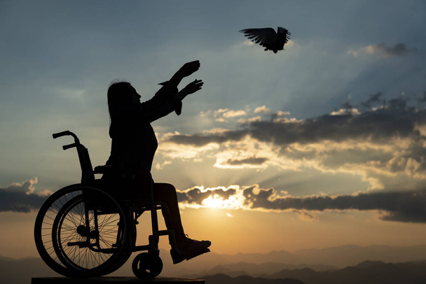 handicapés, pigeons et nouvelle vie
 - Photo, image