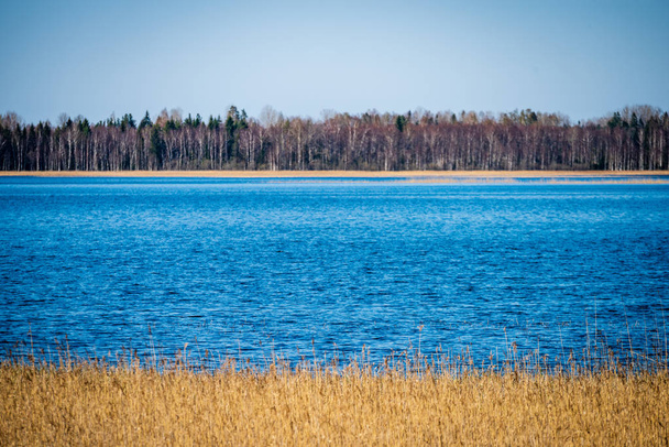 çim ve ağaçların bahar kırsal olay yerinde göl kıyısı gün temizleyin - Fotoğraf, Görsel