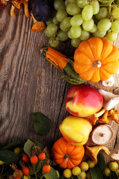 Φθινοπωρινή φύση έννοια. Πτώση φρούτων και λαχανικών σε ξύλο. Δείπνο Ευχαριστιών. Καλαμποκιού και κολοκύθας με ηλιοτρόπια και δαμάσκηνα - Φωτογραφία, εικόνα