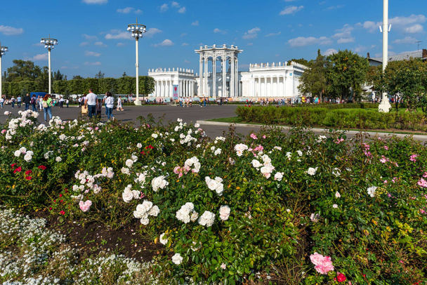 MOSCOW, RUSSIA - SEPTEMBER 22, 2018: Pavilion 66 Culture in VDNKh park. Beautiful landscape design with flowering rose bushes - Φωτογραφία, εικόνα