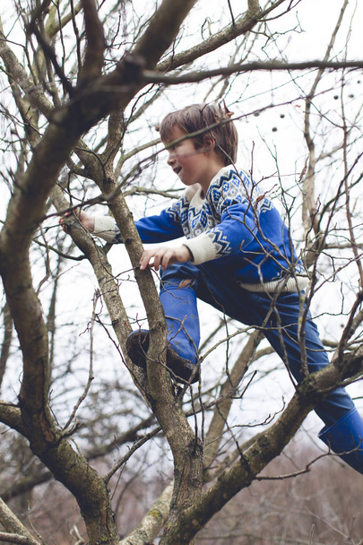 little cute boy climbing on tree in garden  - Foto, imagen