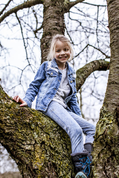 little beautiful girl sitting on tree branch at spring park  - Foto, immagini