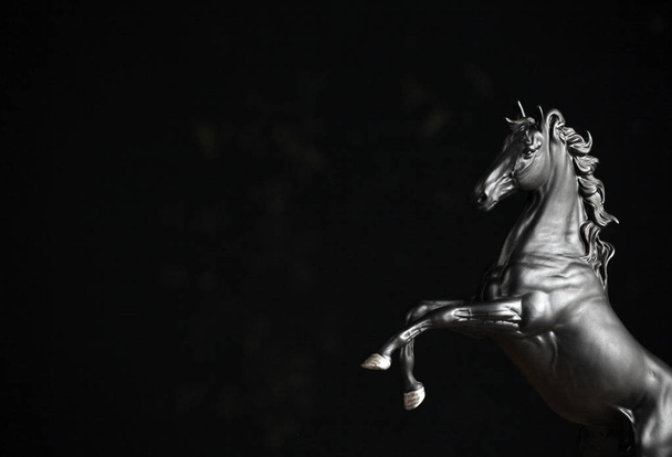 Black Horse Figure studio  - Φωτογραφία, εικόνα