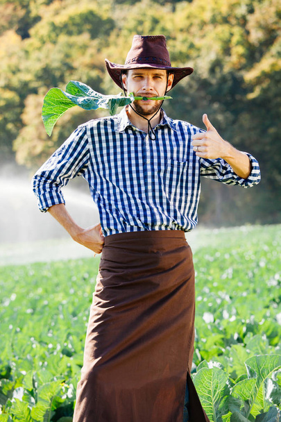 Boer staat op het veld op de achtergrond drenken of sprinklerinstallatie. Een jonge agronoom is op een plantage en controleert de kwaliteit van de oogst. - Foto, afbeelding
