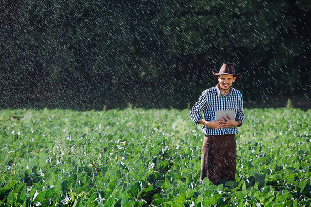 Farmář pomocí digitálních tabletový počítač na pozadí zavlažovací systém. Mladá agronom je na plantáži a kontroluje kvalitu úrody. - Fotografie, Obrázek