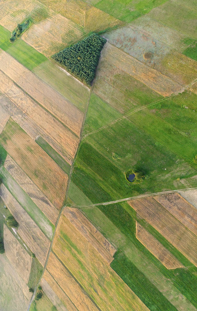 Beautiful aerial landscape with fields and forest  - Fotografie, Obrázek