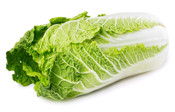 Chinese cabbage - Photo, image