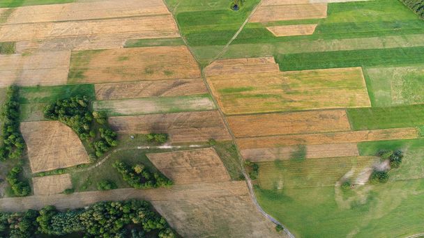 Beautiful aerial landscape with fields and forest  - Foto, imagen