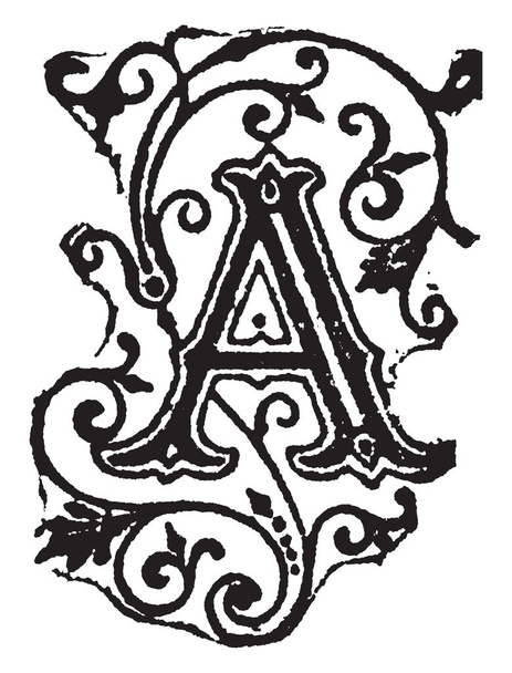 A decorative capital letter A, vintage line drawing or engraving illustration - Вектор,изображение