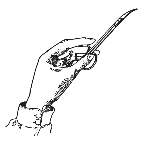 Maniküre-Schere mit geraden Klingen und Griffen, Vintage-Linienzeichnung oder Gravur-Illustration. - Vektor, Bild