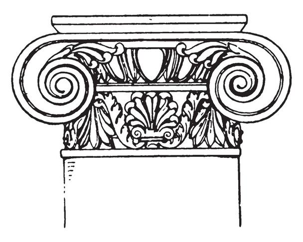 Roman-Ionic Capital,  a design of a scroll rolled on both sides,  with spiral curves, It has an added neck, decorated with a palmette ornament, vintage line drawing or engraving illustration. - Vetor, Imagem
