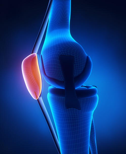 Коліно колінної чашечки Анатомія
 - Фото, зображення