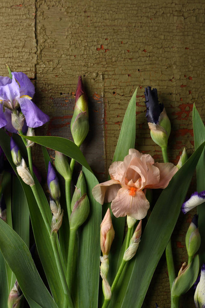 Iris flowers on green wood - Foto, immagini