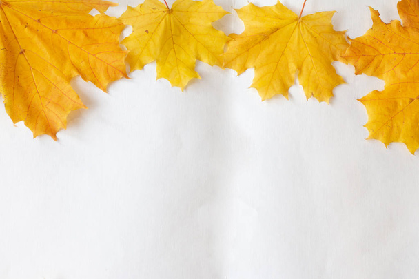 Feuilles d'érable jaune d'automne comme cadre flatlay
 - Photo, image
