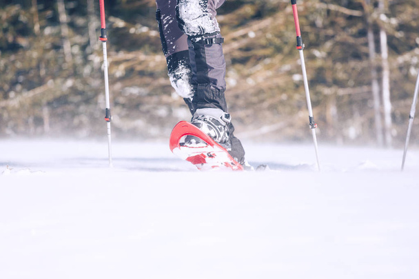 Άνθρωπος με χιονοπέδιλα με μπατόν πεζοπορίας. Εξοπλισμός για περπάτημα στο χιόνι κοντινό πλάνο. Ταξίδι μέσα από τα βουνά το χειμώνα. Παπούτσια για ταξίδια. Αντρικά πόδια. - Φωτογραφία, εικόνα