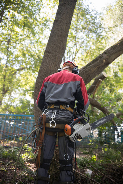 Trabajador en traje protector en un bosque sostiene una motosierra
 - Foto, Imagen
