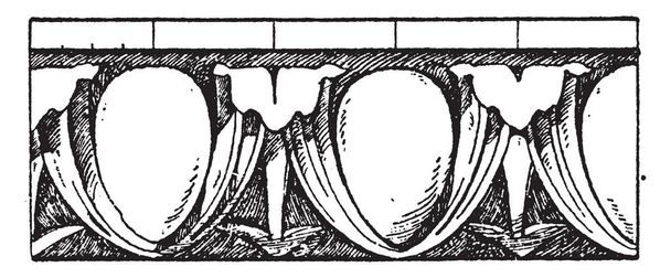 Renaissance Egg-and-Dart Moulding est un modèle d'oeuf avec fléchettes, instructions pour créer une colonne cannelée, ovolo rond, dessin à la ligne vintage ou illustration de gravure
. - Vecteur, image