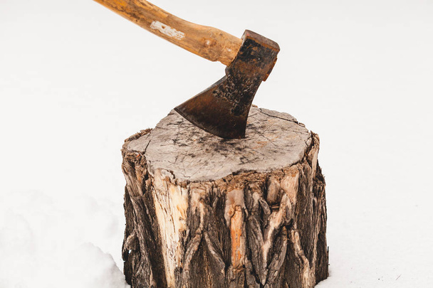 ax sticks out in a stump on white snow on a winter da - Fotografie, Obrázek