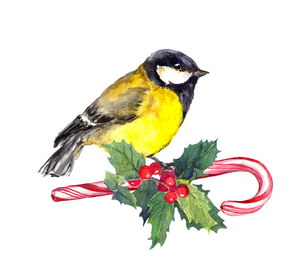 Christmas tit bird on candy cane and xmas mistletoe. Watercolor - Photo, Image